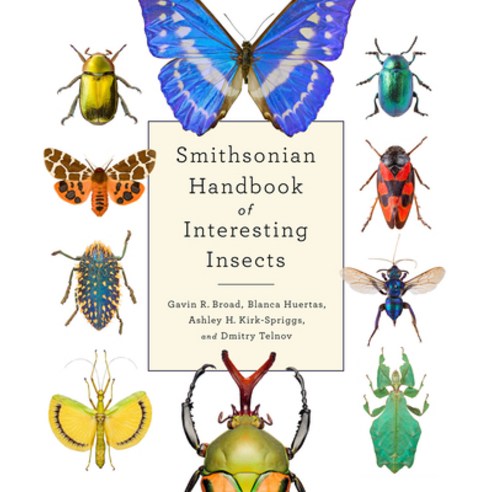 (영문도서) Smithsonian Handbook of Interesting Insects Hardcover, Smithsonian Books, English, 9781588346865