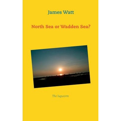 North Sea or Wadden Sea?: The lugworm Paperback, Books on Demand
