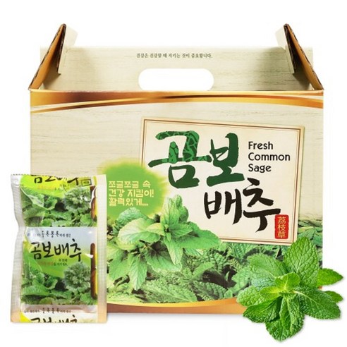 국내산 곰보배추즙 100ml 60포