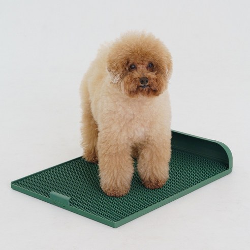 넓고 깨끗한 배변 환경, 독톡 배변판 연장형으로 해결!