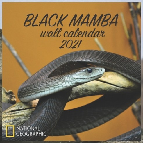 Black Mamba Wall Calendar 2021: BLACK MAMBA WALL CALENDAR 2021 8.5x8.5 FINISH GLOSSY Paperback, Independently Published, English, 9798561073090