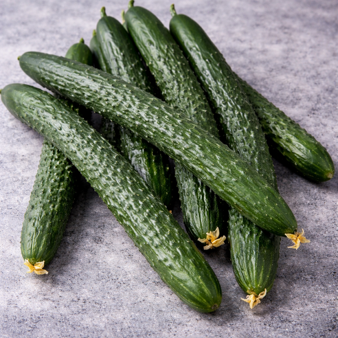 국내산 가시오이 특품 취청오이 최상품, 1개, 3kg