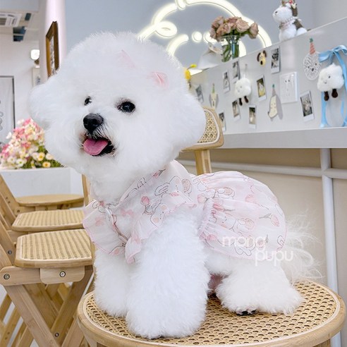 몽푸푸 강아지원피스 샤랄라 똑딱이 캉캉 원피스 옷 몽푸푸 강아지 고양이 시원한옷 실내복 반려견 반려묘 반려동물, 플라워 토끼