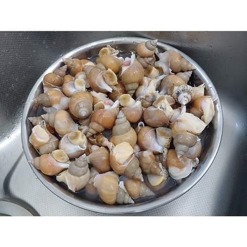 자연산 활 백골뱅이로 건강하고 맛있는 식사를 만드세요