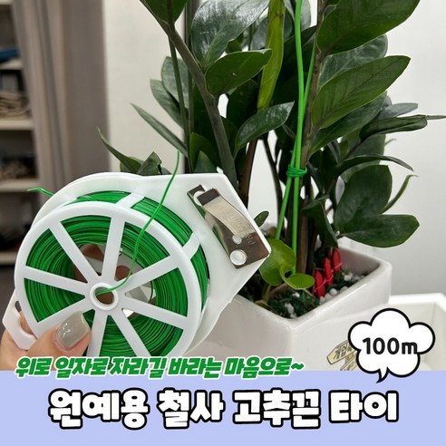 마루오피스 _ 만능 원예용 결속 끈 분재용 철사 100M 고추대 클립 고추 고리 방울 토마토 지지대 호박 농사용 고정 포도 분재 식물 고정핀 유인 작물 모종 지주대 농자재, 녹색, 1개 Best Top5