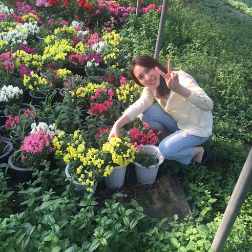 식용꽃: 시각적 아름다움과 건강상의 이점