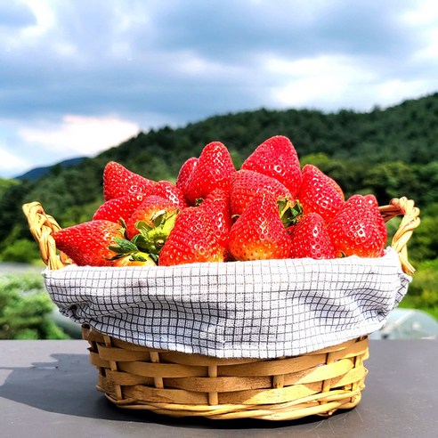 고냉지 여름딸기 데코용 300g 생딸기 1상자 (15-36과) 과수랜덤, 300g 15~36입, 1개