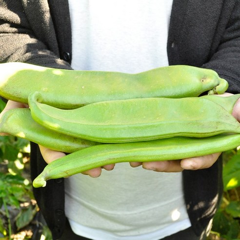 무농약 국산 작두콩 꼬투리째 담아 구수하고 건강한 기쁨농원 작두콩차!