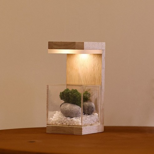 모던포인트 원목 플랜테리어 스칸디아모스 식물 LED 유선 무드등, 브라운 멀바우
