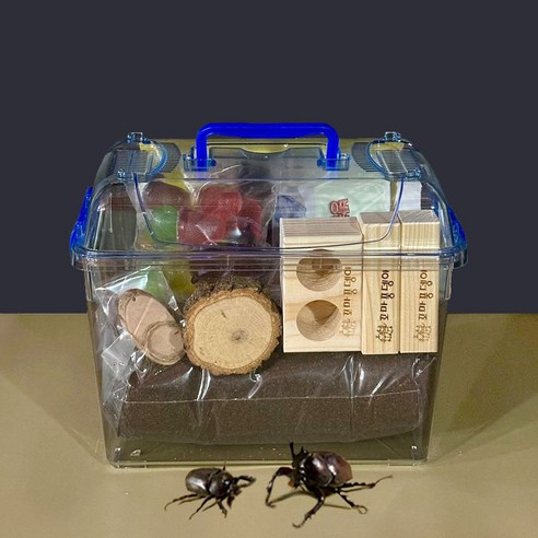 자연을 담은 작은 선물, 꼬마풍뎅이 장수풍뎅이 성충 세트 장수풍뎅이키우기