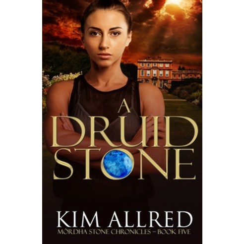 A Druid Stone: A Time Travel Romance Adventure Paperback, Storm Coast Publishing, LLC, English, 9781953832009