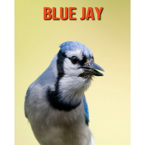 Blue Jay: Amazing Facts about Blue Jay Paperback, Independently Published, English, 9798694296137