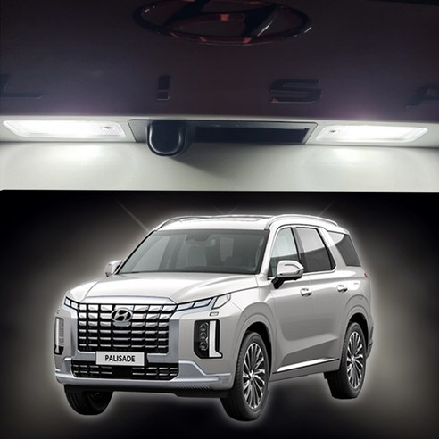 팰리세이드 LED 번호판등 2개1세트, 2개 펠리세이드사이드스텝