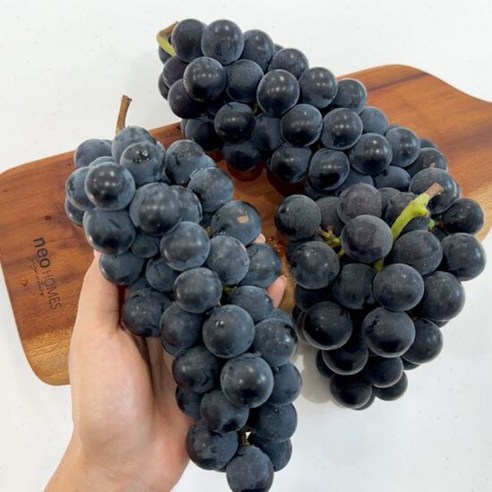 신선한 고당도 프리미엄 하우스 캠벨포도 2kg 5-8송이, 1개 켐벨포도 신선한 고당도 프리미엄 하우스 캠벨포도 2kg 5-8송이, 1개 켐벨포도