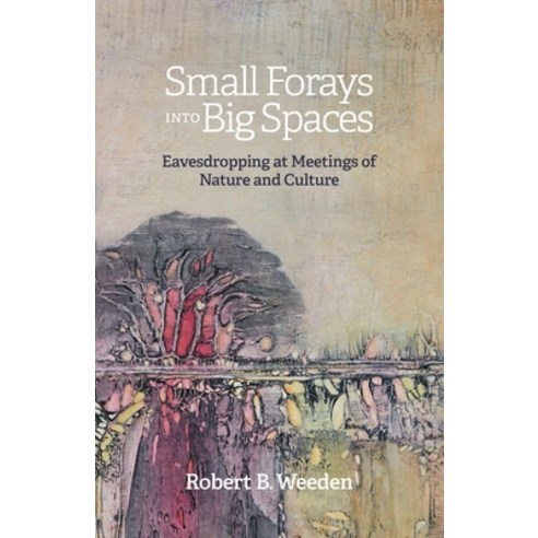 (영문도서) Small Forays Into Big Spaces: Eavesdropping at Meetings of Nature and Culture Paperback, FriesenPress, English, 9781039168572