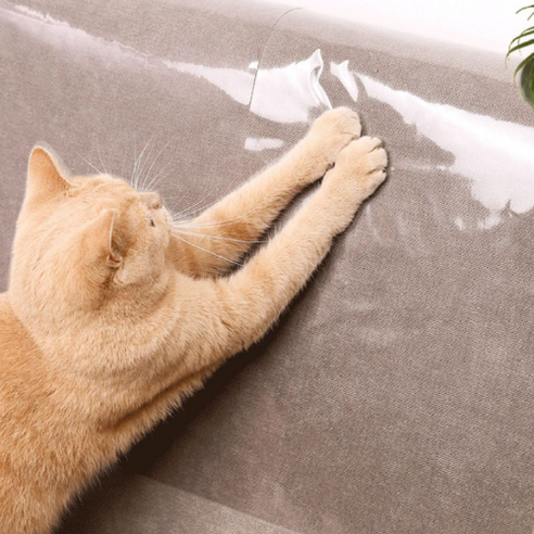 건코몰 프리미엄 반려동물 강아지 고양이 벽지 가구 스크래치 방지 보호 투명 필름, 5개
