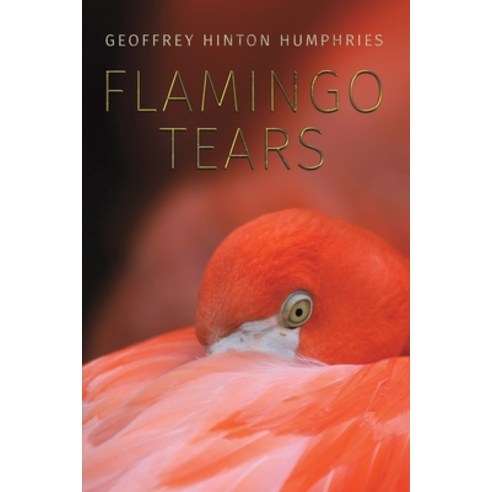 (영문도서) Flamingo Tears Paperback, Austin Macauley, English, 9781528922197