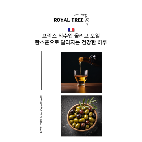 지중해 햇살을 담은 로얄트리 올리브오일 선물세트, 특별한 순간을 더욱 빛내다.