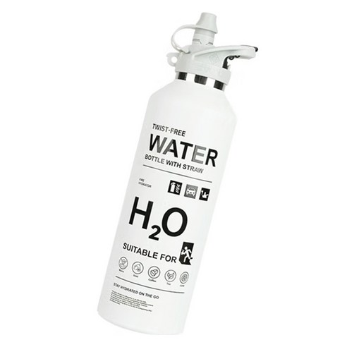 레보맥스 소화기 시리즈 트위스트 프리 스트로우 워터 보틀, 1개, 다이나믹 화이트, 950ml