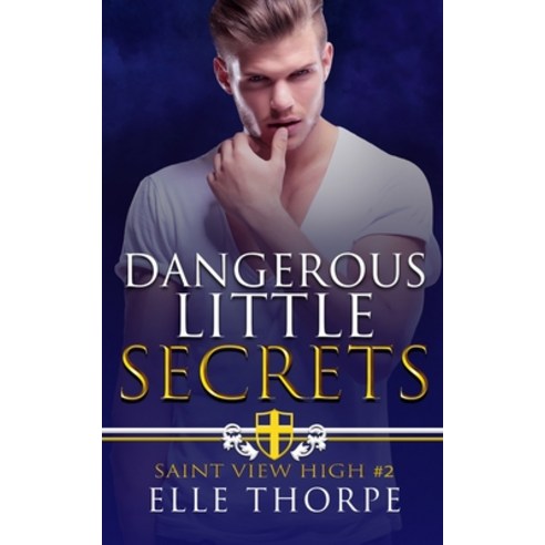 Dangerous Little Secrets Paperback, Elle Thorpe, English, 9780648939405