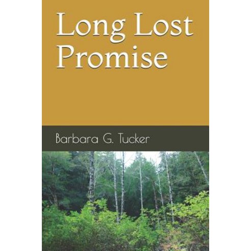 Long Lost Promise: A Scott Wallace Mystery Paperback, Independently Published, English, 9781070327174
