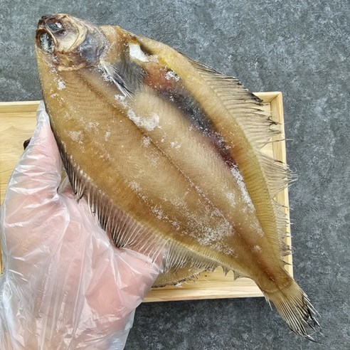 동해 반건조 가자미로 맛과 건강을 한 번에!