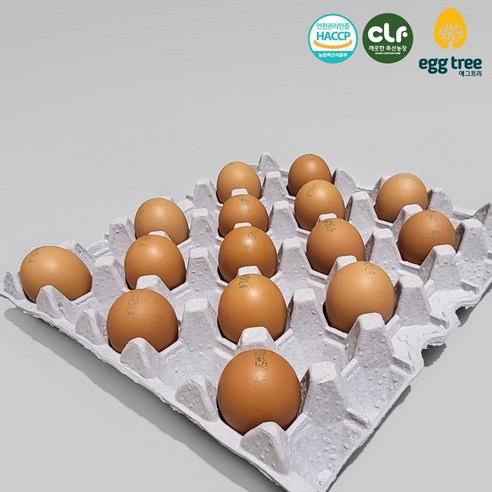 에그트리 생계란 농장직송 달걀, 15구(780g이상), 대란