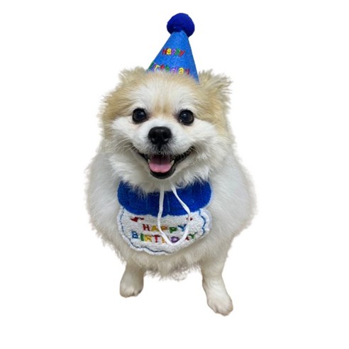 강아지 고양이 생일축하 스카프+꼬깔모자 세트 생일파티세트, 블루