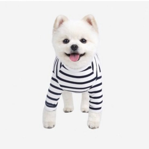 패리스독 강아지 스트라입 티셔츠, 그린
