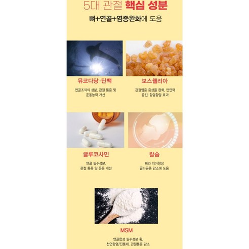 강아지 관절 영양제