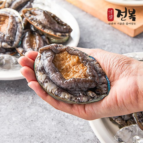 [기삼전복] 진도 기삼 활전복 왕특대사이즈 100g이상 15미(1.5kg), 1개
