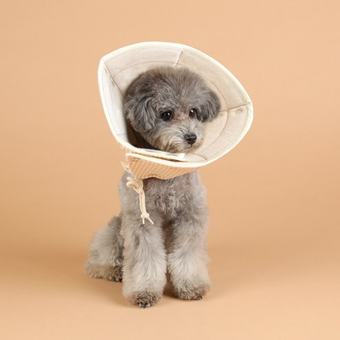 자연생각 개놀자 오가닉 펜타곤 넥카라, 브라운st, 1개