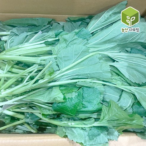 국내산 아욱 4kg