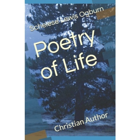 (영문도서) Poetry of Life: Christian Author Paperback, Independently Published, English, 9798517131553