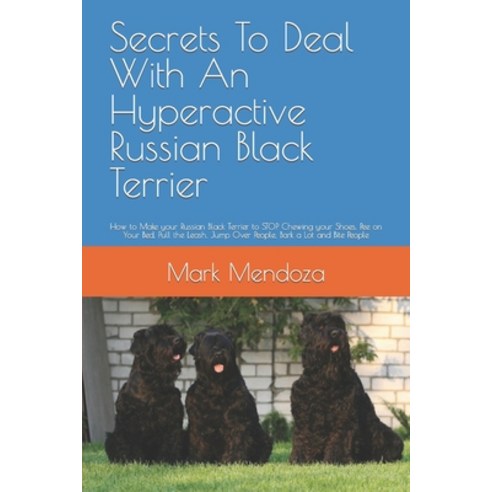 (영문도서) Secrets To Deal With An Hyperactive Russian Black Terrier: How to Make your Russian Black Ter... Paperback, Independently Published, English, 9798422560103