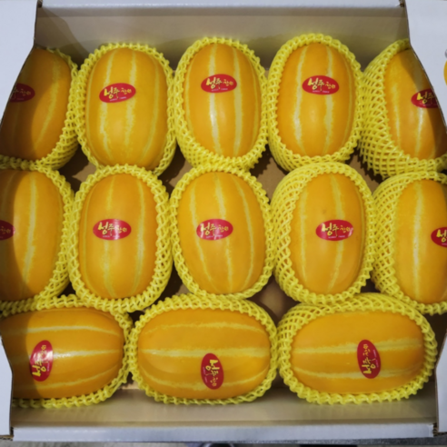 프리미엄 성주 참외 선물용 실속형 3kg 5kg, 가정용 3kg, 1개