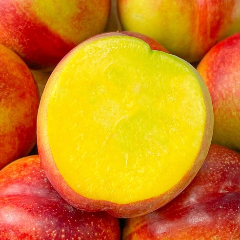 당도보장 새콤달달 천도복숭아 황도 복숭아, 1개, 중과 2kg