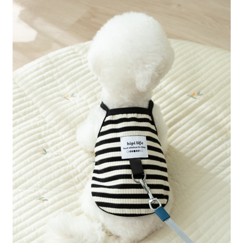 세련된 강아지 옷으로 시원하게 여름을 보내보세요.