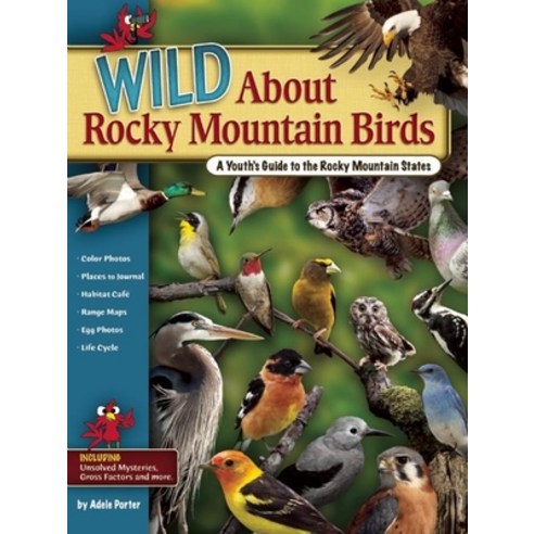 (영문도서) Wild about Rocky Mountain Birds: A Youth''s Guide to the Rocky Mountain States Paperback, Adventure Publications, English, 9781591933205