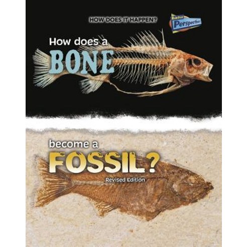 How Does a Bone Become a Fossil? Paperback, Raintree