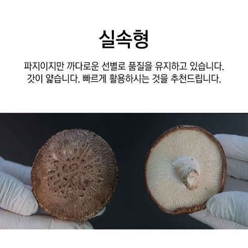 자연의 선물, 충남 서산 생표고버섯으로 식탁을 풍요롭게!