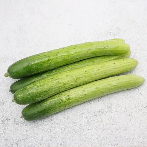 국내산 백다다기오이 특품 10kg 5kg 3kg 2kg내외 백오이, 백다다기오이 (특품) 10kg내외, 1BOX Best Top3 국내산 백다다기오이 특품 10kg 5kg 3kg 2kg내외 백오이, 백다다기오이 (특품) 10kg내외, 1BOX Best Top3