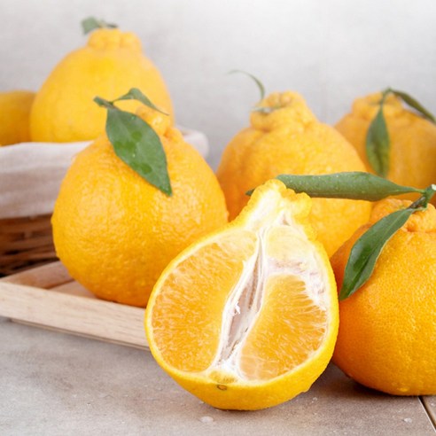 제주 노지에서 재배한 최고급 한라봉, 합리적인 가격에 만나보세요.