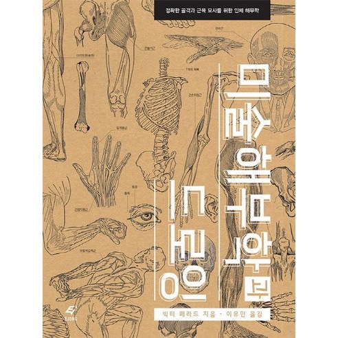 미술해부학과 드로잉:정확한 골격과 근육 묘사를 위한 인체 해부학, 도서출판 이종(EJONG)