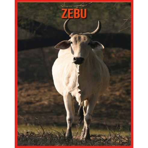 Zebu: Fascinating Zebu Facts for Kids with Stunning Pictures! Paperback, Independently Published, English, 9798707365911