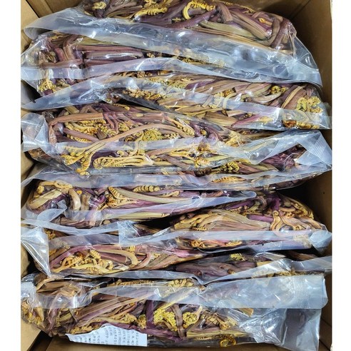 영양 가득한 고사리의 맛있는 만남