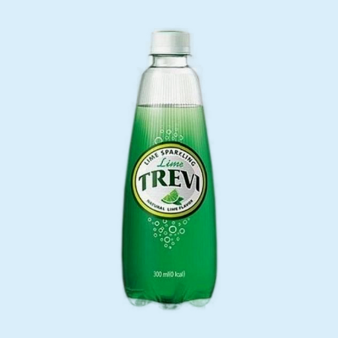 롯데칠성음료 트레비 라임 펫, 6개, 300ml