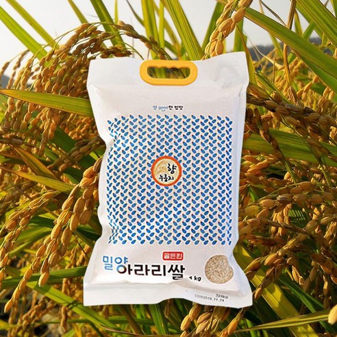 구수한 누룽지향의 밀양 아라리 쌀, 1개, 10kg