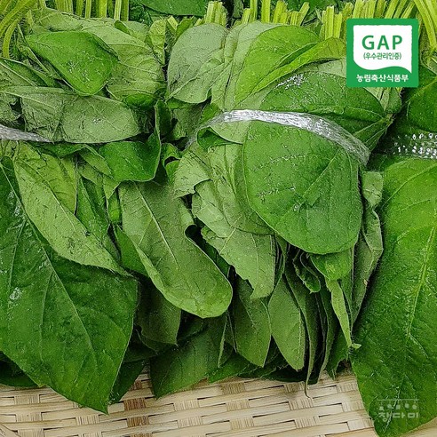 경주 장다미 푸른 생콩잎 (4묶음부터 배송), 1개