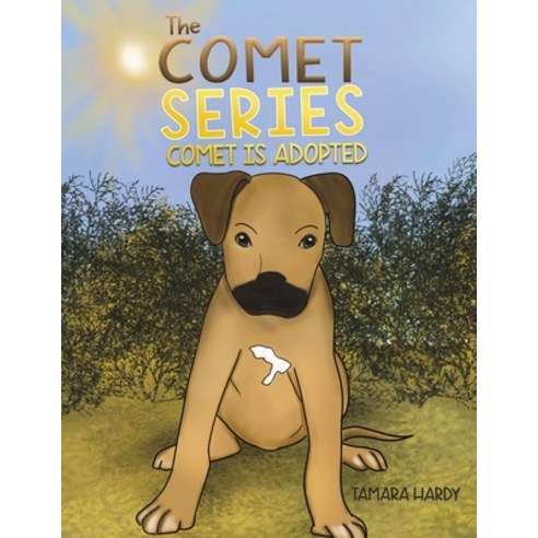 (영문도서) The Comet Series: Comet Is adopted Paperback, Austin Macauley, English, 9781398422094